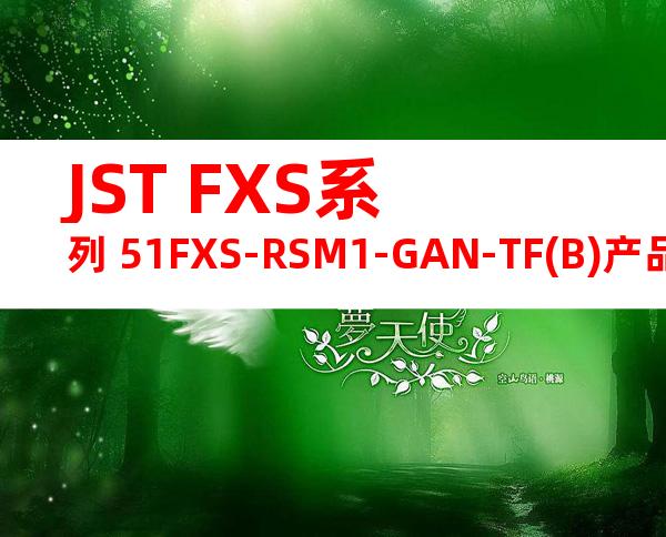 JST FXS系列 51FXS-RSM1-GAN-TF(B)产品规格书